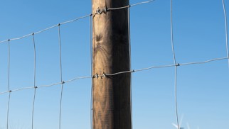 Zwart geïmpregneerde palen DURA2 Vuren