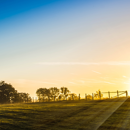 Sunrise 1695469