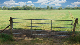 Grootveehek - landhek gegalvaniseerd