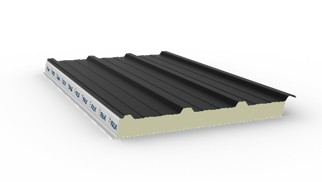 1100 TR 3+, Hellend dak paneel, op lengte gemaakt