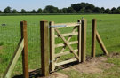 Engelse Poort Hout London Enkel