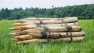 Kastanje palen ø 6/8, rond, geschild