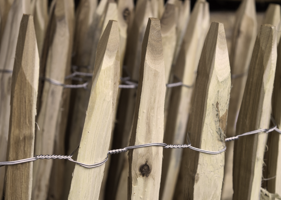 HBP Robiniahekwerk 4