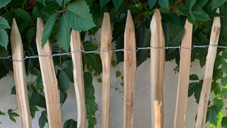 Robinia Hekwerk - Gezaagde Latten, 100 & 120 cm Hoog