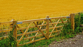 Engelse Poort "London" dubbel