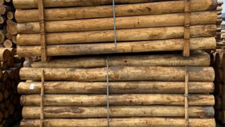 Kastanje palen ø 18/22, rond, geschild, ongepunt