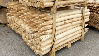 Robinia Palen 10/12 - Gepunt en Ongeschuurd