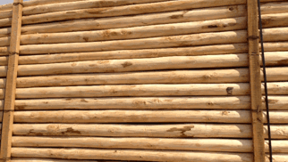 Kastanje palen ø 4/6, rond, geschild