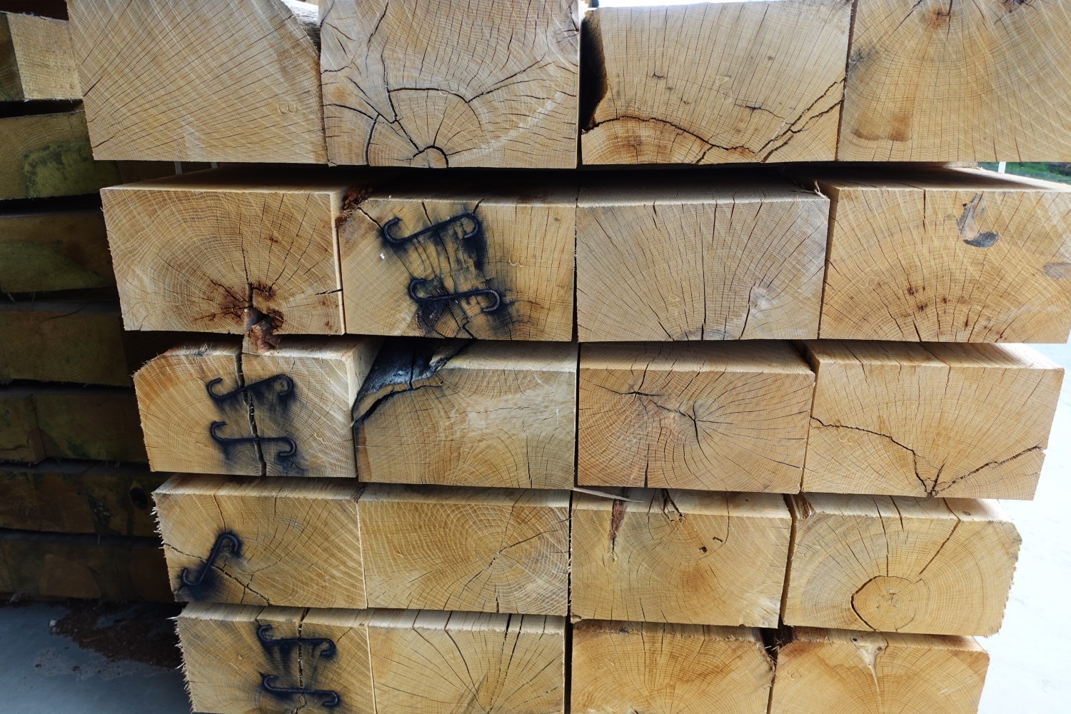 HBP 1500X1000 (DSC00148)