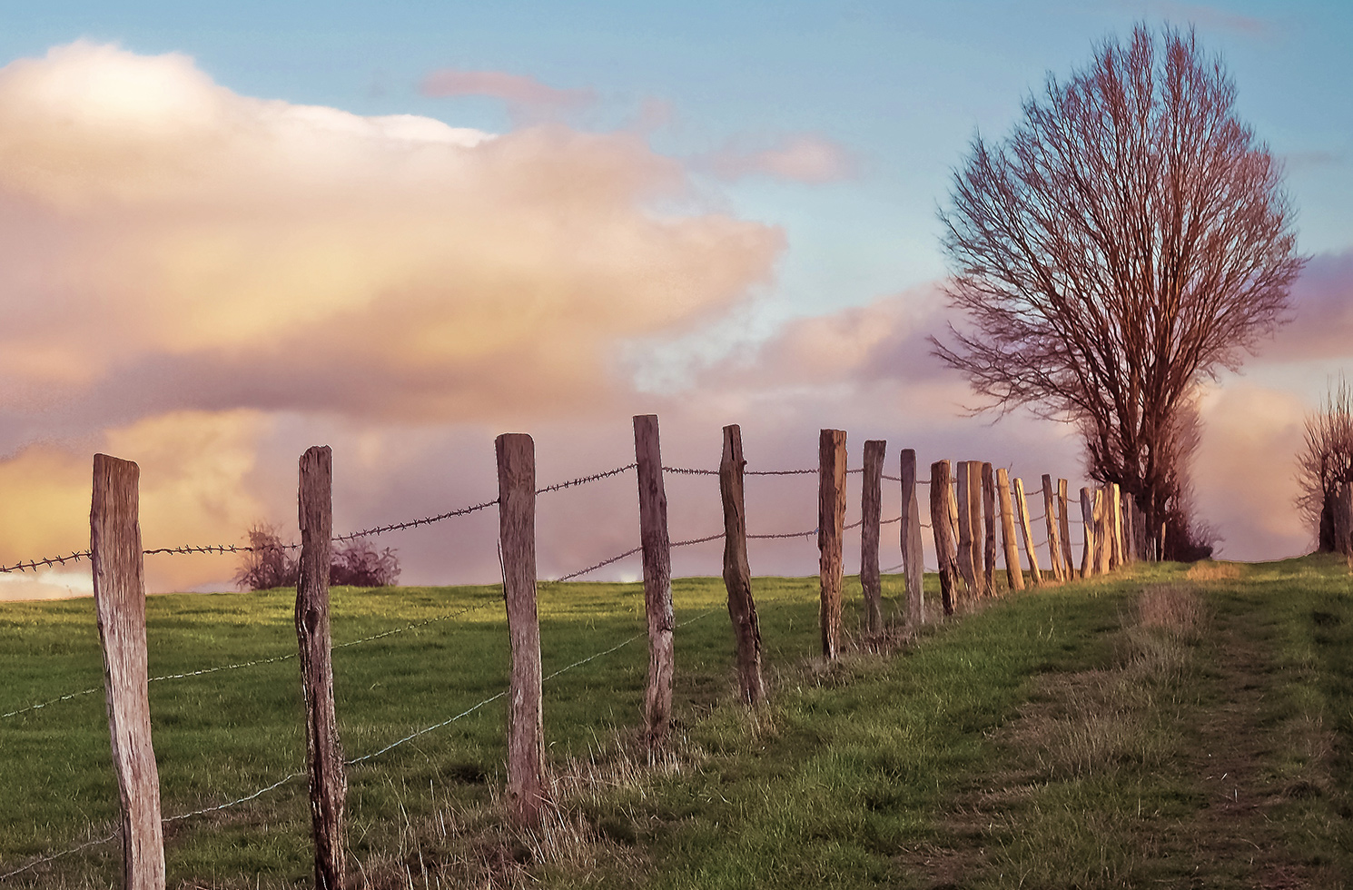 Landscape Gekloofd 980