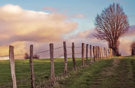Landscape Gekloofd 980