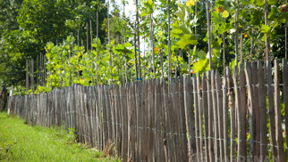 Frans hekwerk, Latafstand 8-10 cm