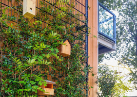 Hardeman Groenewandsysteem Insp