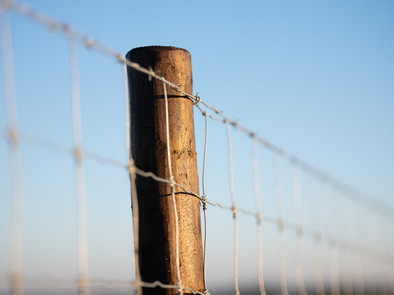 HBP 1333X1000 (DURA² (47))