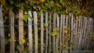 Engels hekwerk, Latafstand 4-5 cm