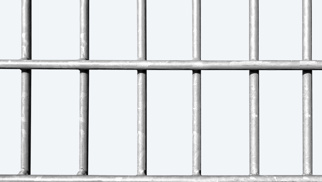 Verzinkte draadmat  ø 3,4 mm # 2,5x7,5 cm, afm. 2x2,5m