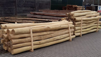 Robinia Palen 14/16 - Spintvrij en Geschuurd