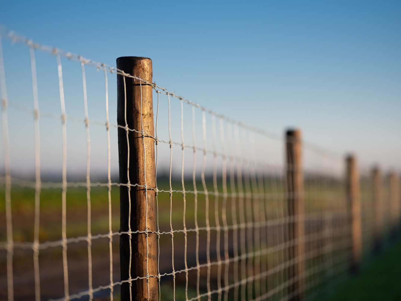 HBP 1333X1000 (Dura (49))