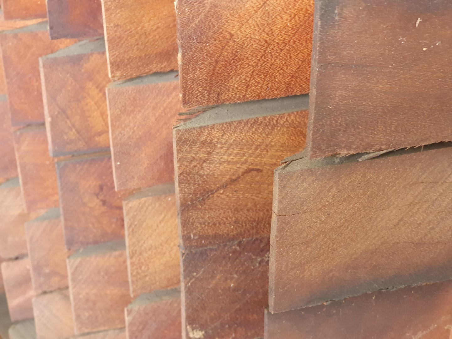 Hardhouten Paal (1440 X 1080) HBP