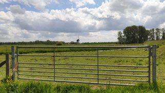 Schapenhek - landhek gegalvaniseerd