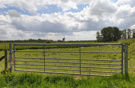 Schapenhek