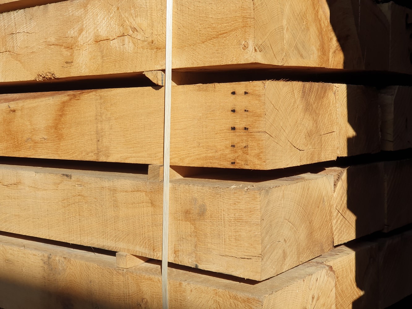 HBP 1333X1000 (20241105 114045)