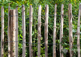 Engels Hekwerk (Latafstand 8 9Cm)A