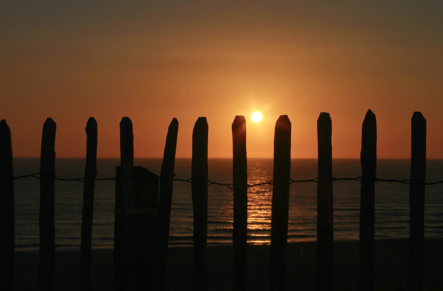 Kastanje Hardeman Zee 980